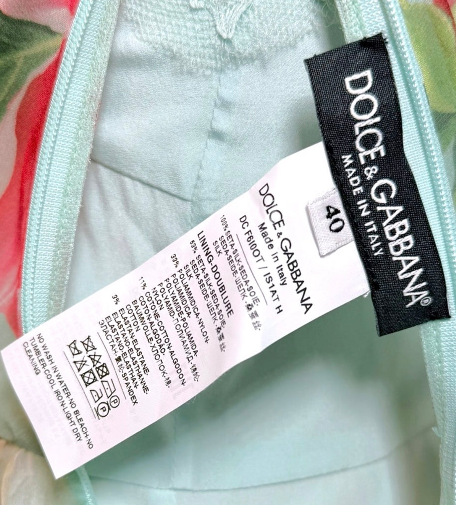 Dolce & Gabbana Spring Summer 2008 Silk Floral Chiffon Gown IT40