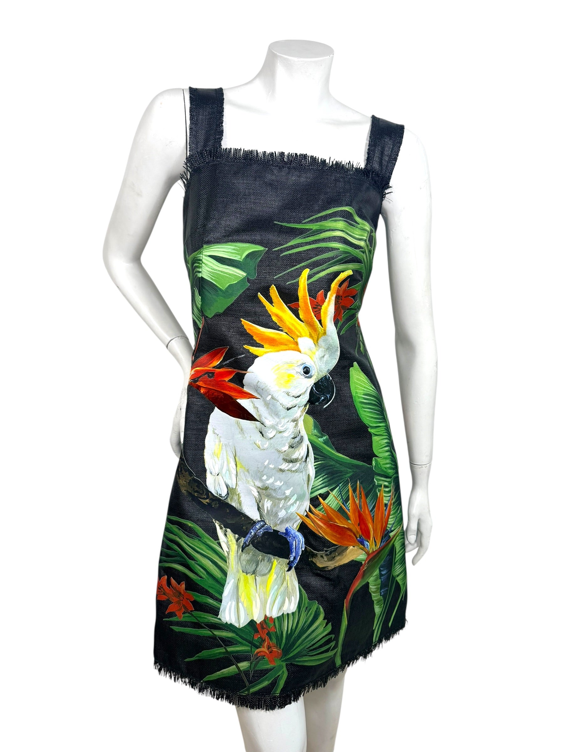 Dolce & Gabbana Spring 2020 Tropical Cockatoo Dress IT 40