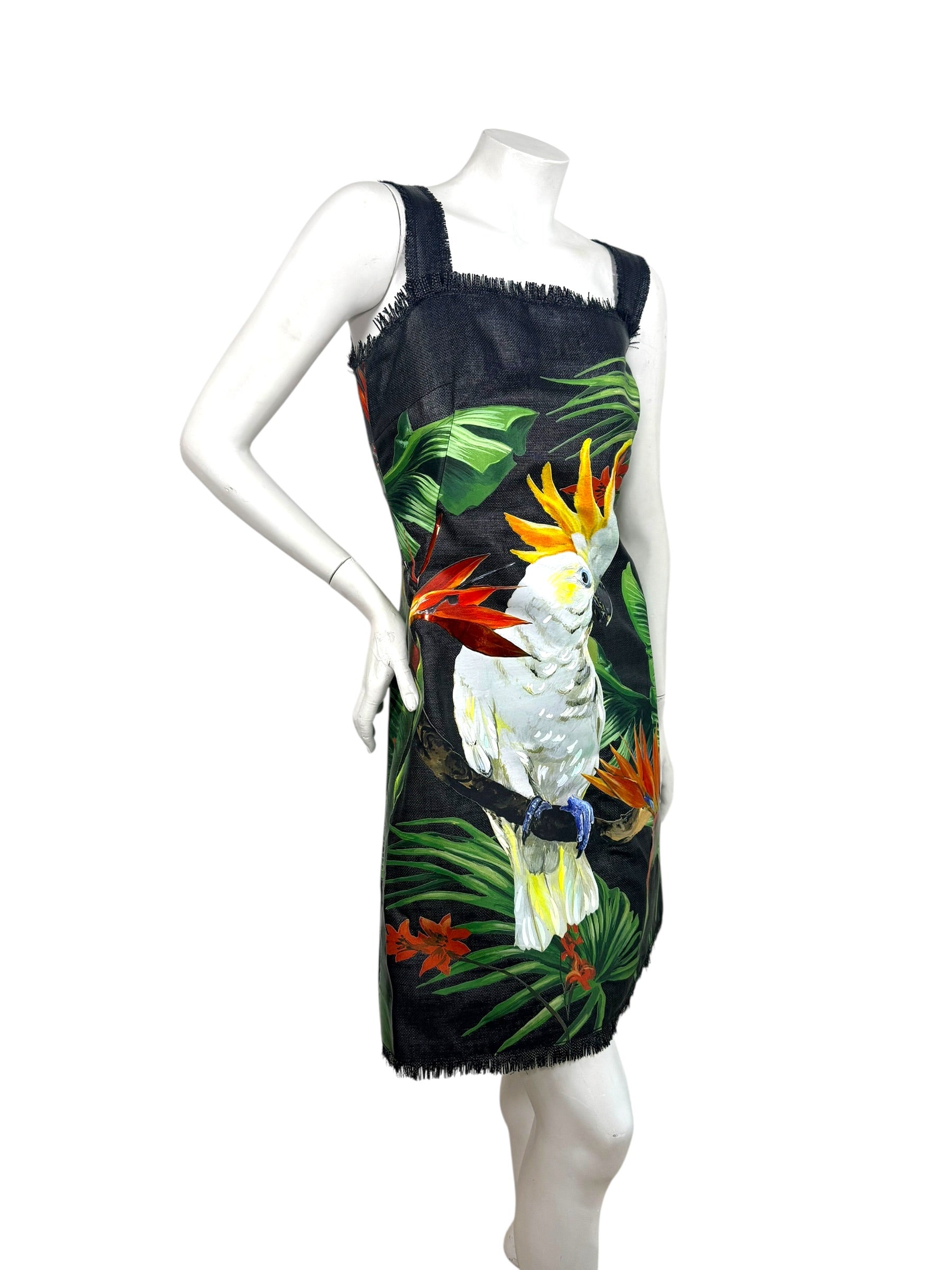 Dolce & Gabbana Spring 2020 Tropical Cockatoo Dress IT 40