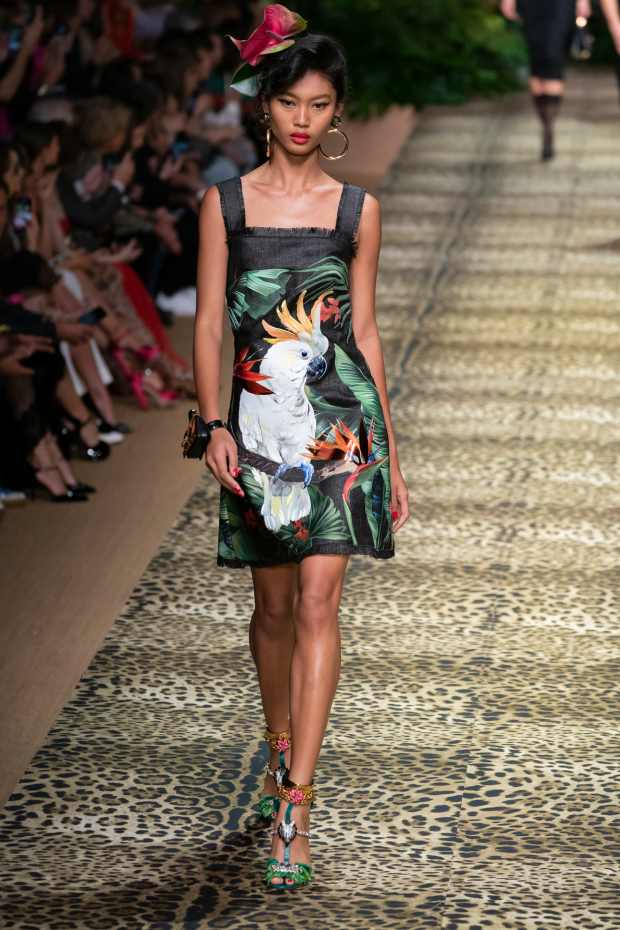Dolce & Gabbana Spring 2020 Tropical Cockatoo Dress IT 40