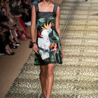 Dolce & Gabbana Spring 2020 Tropical Cockatoo Dress IT 40