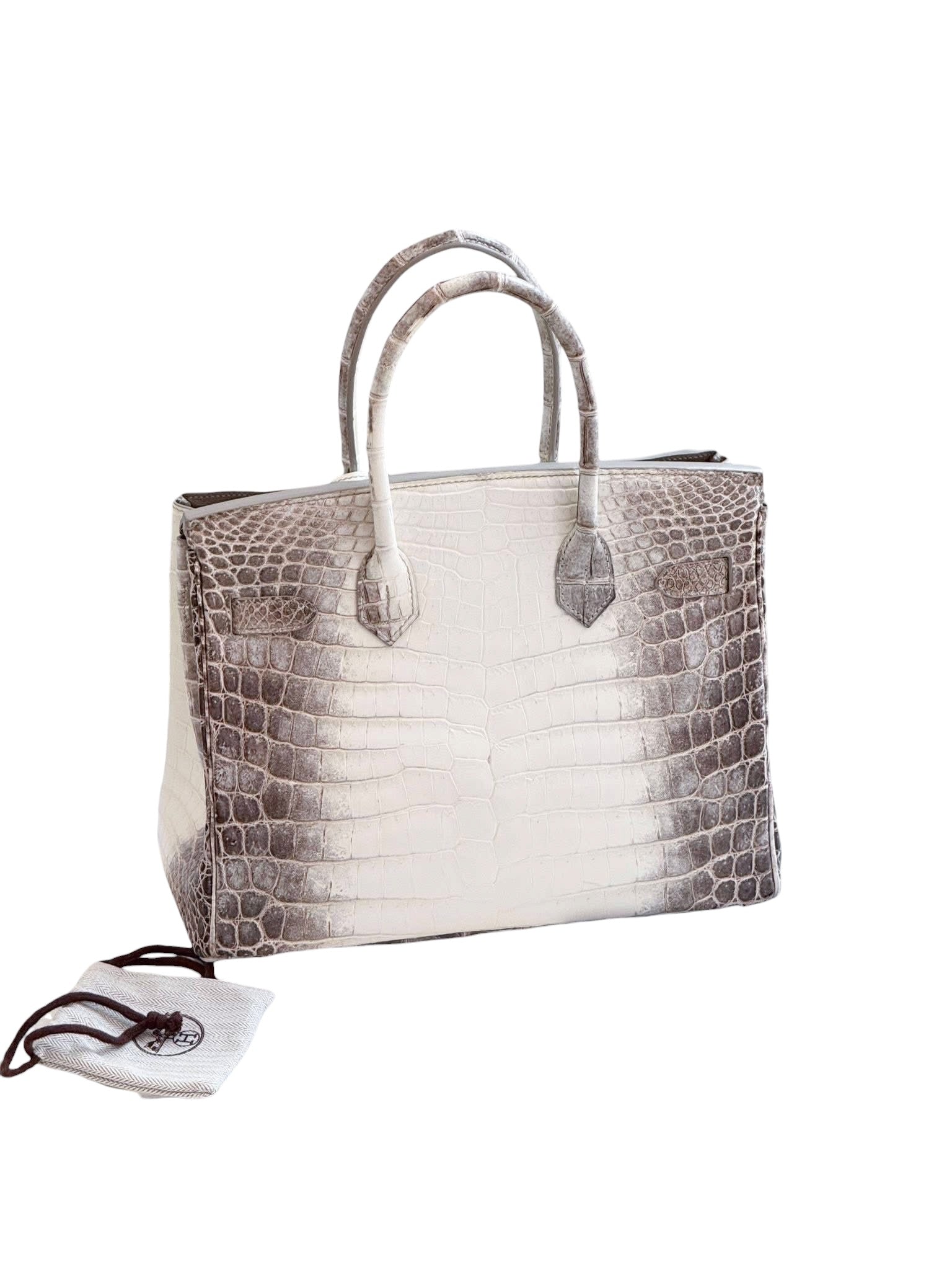 Rear view of Hermès Himalaya Birkin 30 in matte Niloticus crocodile showcasing symmetrical white and smoky gris gradient pattern.