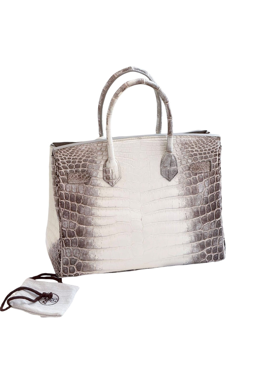 Rear view of Hermès Himalaya Birkin 30 in matte Niloticus crocodile showcasing symmetrical white and smoky gris gradient pattern.