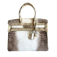 Hermès Himalaya Niloticus Crocodile Birkin 30 handbag with palladium hardware front view featuring signature white-to-gris gradient and clochette.