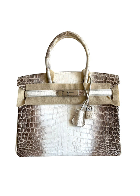 Hermès Himalaya Niloticus Crocodile Birkin 30 handbag with palladium hardware front view featuring signature white-to-gris gradient and clochette.
